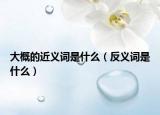 大概的近义词是什么（反义词是什么）