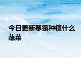 今日更新寒露种植什么蔬菜