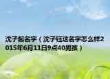 沈子起名字（沈子钰这名字怎么样2015年6月11日9点40男孩）