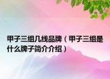 甲子三组几线品牌（甲子三组是什么牌子简介介绍）