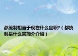 都统制相当于现在什么官职?（都统制是什么官简介介绍）