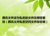 腾讯文件设为私密的文件在哪里看到（腾讯文件私密空间文件存在哪）
