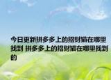 今日更新拼多多上的招财猫在哪里找到 拼多多上的招财猫在哪里找到的