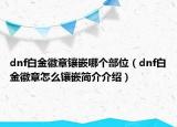 dnf白金徽章镶嵌哪个部位（dnf白金徽章怎么镶嵌简介介绍）