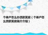 个体户怎么办贷款买房（个体户怎么贷款买房简介介绍）
