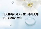 什么空山不见人（空山不见人的下一句简介介绍）