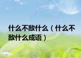 什么不敌什么（什么不敌什么成语）