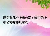 遂宁有几个上市公司（遂宁的上市公司有那几家?）