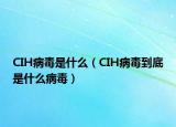 CIH病毒是什么（CIH病毒到底是什么病毒）
