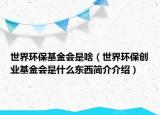 世界环保基金会是啥（世界环保创业基金会是什么东西简介介绍）
