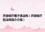 开游戏厅属于违法吗（开游戏厅犯法吗简介介绍）