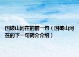 国破山河在的前一句（国破山河在的下一句简介介绍）