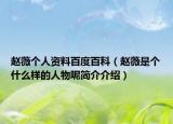 赵薇个人资料百度百科（赵薇是个什么样的人物呢简介介绍）