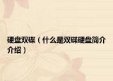 硬盘双碟（什么是双碟硬盘简介介绍）