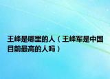 王峰是哪里的人（王峰军是中国目前最高的人吗）