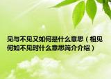 见与不见又如何是什么意思（相见何如不见时什么意思简介介绍）