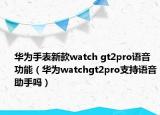 华为手表新款watch gt2pro语音功能（华为watchgt2pro支持语音助手吗）