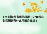 dnf 封印咒书哪里获得（DNF现在封印钥匙有什么用简介介绍）