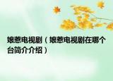娘惹电视剧（娘惹电视剧在哪个台简介介绍）