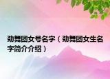 劲舞团女号名字（劲舞团女生名字简介介绍）