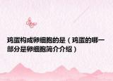 鸡蛋构成卵细胞的是（鸡蛋的哪一部分是卵细胞简介介绍）
