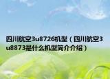 四川航空3u8726机型（四川航空3u8873是什么机型简介介绍）