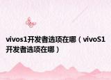 vivos1开发者选项在哪（vivoS1开发者选项在哪）