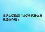 沫忆失忆歌词（沫忆失忆什么意思简介介绍）