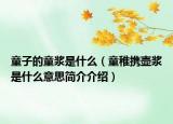 童子的童浆是什么（童稚携壶浆是什么意思简介介绍）