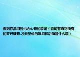 看到你流泪我也会心碎的歌词（歌词有直到所有的梦已破碎,才看见伱的眼泪和后悔是什么歌）