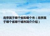 南京属于哪个省和哪个市（南京属于哪个省哪个城市简介介绍）
