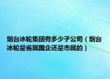 烟台冰轮集团有多少子公司（烟台冰轮是省属国企还是市属的）