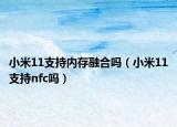 小米11支持内存融合吗（小米11支持nfc吗）