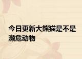 今日更新大熊猫是不是濒危动物