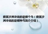 寂寞沙洲冷说的是哪个鸟（寂寞沙洲冷说的是哪种鸟简介介绍）