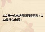 112是什么电话号码百度百科（112是什么电话）