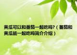 黄瓜可以和番茄一起吃吗?（蕃茄和黄瓜能一起吃吗简介介绍）