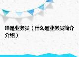 啥是业务员（什么是业务员简介介绍）
