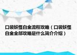 口袋妖怪白金流程攻略（口袋妖怪白金全部攻略是什么简介介绍）