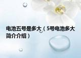 电池五号是多大（5号电池多大简介介绍）