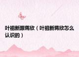 叶祖新跟蒋欣（叶祖新蒋欣怎么认识的）