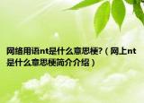 网络用语nt是什么意思梗?（网上nt是什么意思梗简介介绍）