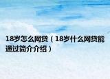 18岁怎么网贷（18岁什么网贷能通过简介介绍）