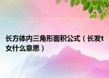 长方体内三角形面积公式（长发t女什么意思）