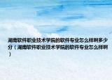 湖南软件职业技术学院的软件专业怎么样啊多少分（湖南软件职业技术学院的软件专业怎么样啊）