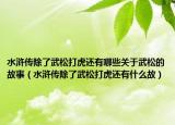 水浒传除了武松打虎还有哪些关于武松的故事（水浒传除了武松打虎还有什么故）