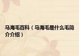马海毛百科（马海毛是什么毛简介介绍）