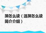 漪怎么读（涟漪怎么读简介介绍）