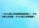 一不小心爱上你电视剧百度百科（一不小心爱上你全集,一不小心爱上你电视剧）