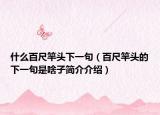 什么百尺竿头下一句（百尺竿头的下一句是啥子简介介绍）